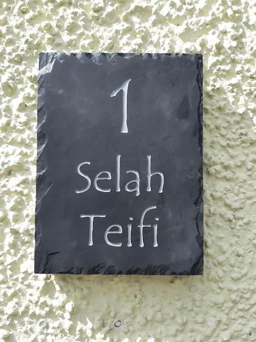 Holiday home Selah Teifi Spectacular River View With Games