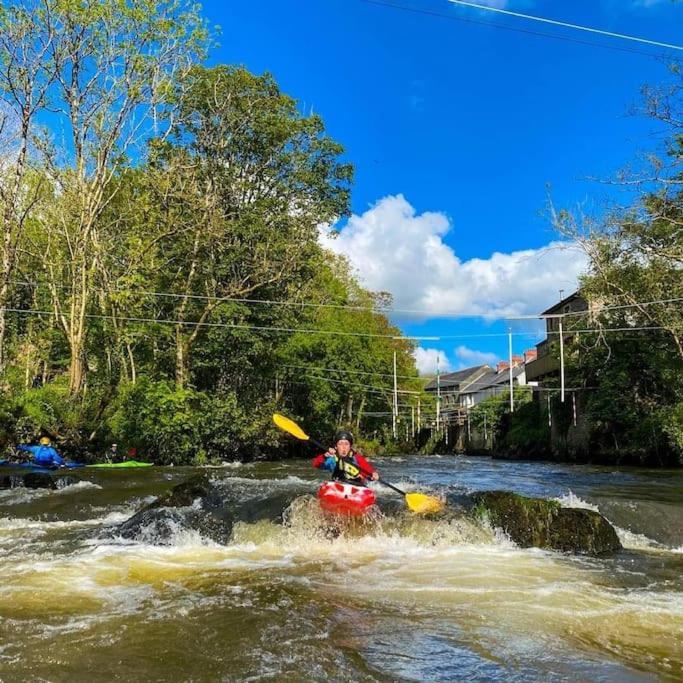 Selah Teifi Spectacular River View With Games Holiday home