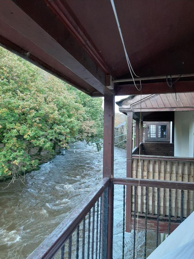 Selah Teifi Spectacular River View With Games Holiday home *