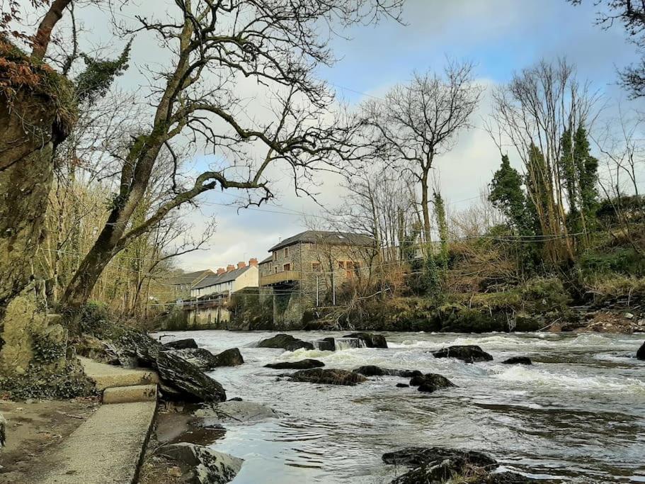 Selah Teifi Spectacular River View With Games Holiday home *