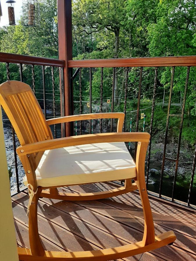 Selah Teifi Spectacular River View With Games Holiday home *